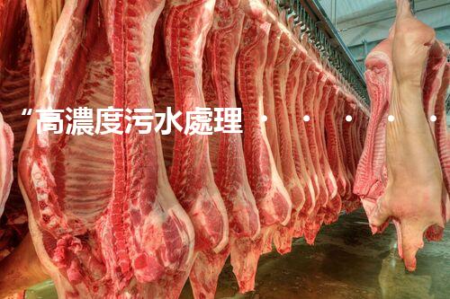 “高濃度污水處理，綠色環(huán)保新篇章”